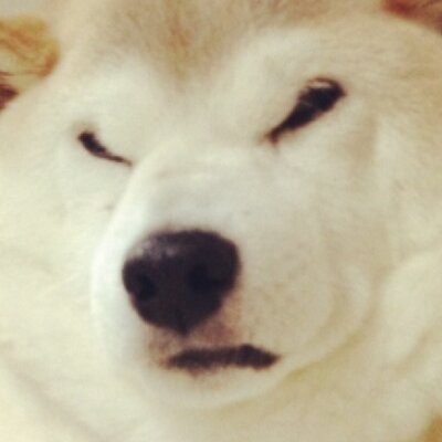 吉井's profile picture