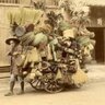 Chinois Vert 的头像