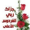 Profilbild von عمران عمران