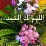 Фото профиля ديني يقيني