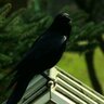 Stanlay profil fotoğrafı