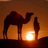 ابن العرب profil fotoğrafı