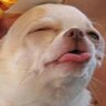 Musouka's profile picture