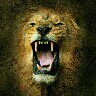 Swag007's profile picture