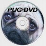 ✨PUG DVD OFFICIAL✨ profil fotoğrafı