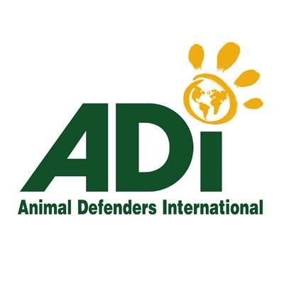 ADI's profile picture