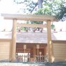 🌸日本が好きな方のゆうこです🟠 的头像