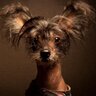 Profilbild von Борисов Максим