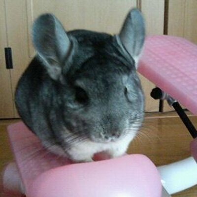 nn930310's profile picture