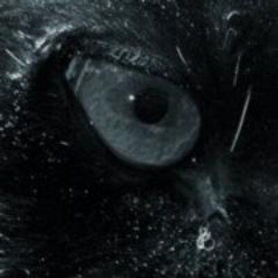 Tsuroerusu's profile picture