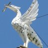 LiverpoolTweeta's profile picture