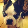 willbuono(うぃるぼーの) profil fotoğrafı