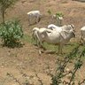 Maria Fernanda's profile picture
