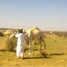 Фото профиля عبدالله المخلفي