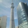 Profilbild von しんた