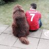 Simon Thomas's profile picture