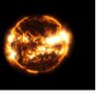 MOL's profile picture