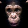 Profilbild von Mono.!