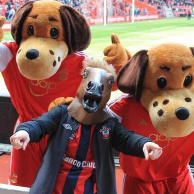 Sir Voodoo's profile picture