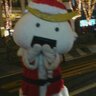コタツ's profile picture