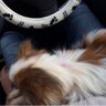 こたつ 的头像