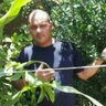 mohamedsameh's profile picture