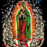Guadalupe 的头像