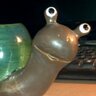 Surfbort Snail profil fotoğrafı
