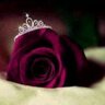 منى خليفة's profile picture