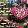 عبدالمنعم's profile picture
