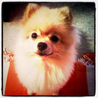 tuktukcafe's profile picture