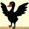 black duck's profile picture