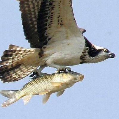 マスコミは疑え!'s profile picture