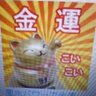 Profilbild von 滝本公平