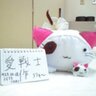 愛戦士 profil fotoğrafı