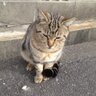 はち💚💙 profil fotoğrafı