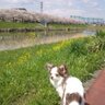 Profilbild von ちゃま