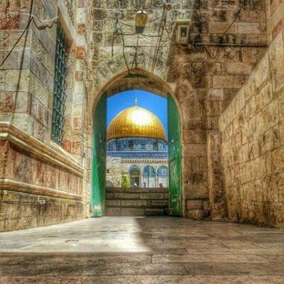 المسجد الأقصى's profile picture