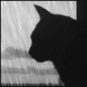 Mikhail Kornev's profile picture