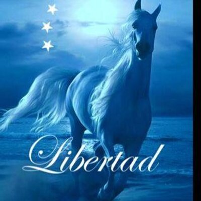 Maria H. G.'s profile picture