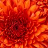 Фото профиля mmnbb
