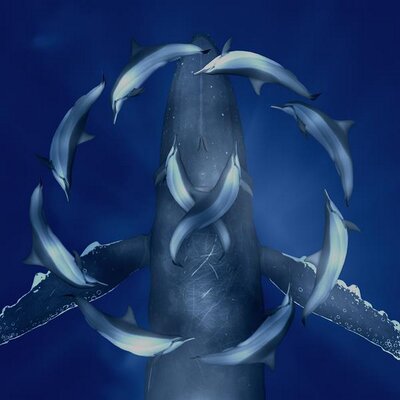Haruyoshi KAWAI (text)'s profile picture