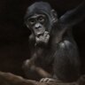 Дэн's profile picture