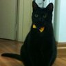 Eduardo's profile picture
