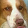 Profilbild von Ernes
