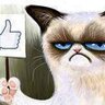 Rupo RS's profile picture