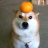 szk's profile picture