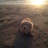 たむら(NO.18 ほったらかし温泉) 的头像