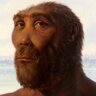Rupert von Cave's profile picture