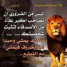 Фото профиля موفق نايف